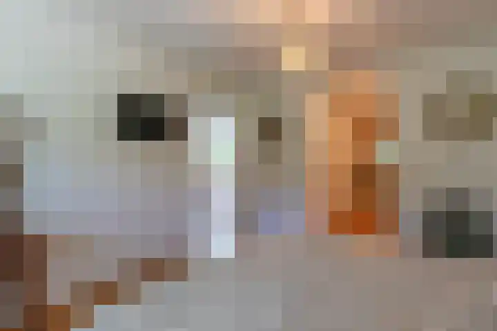 Prins Johan Frisolaan 7 Amersfoort thumbnail 26