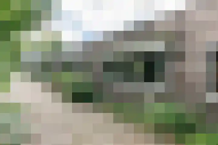 Prins Johan Frisolaan 7 Amersfoort thumbnail 37