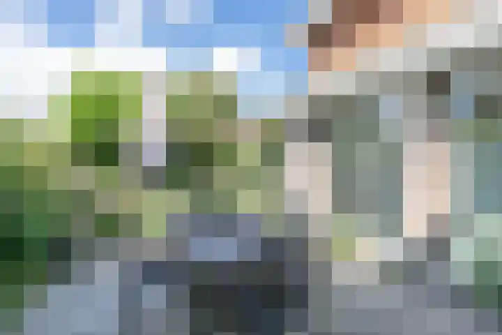 Prins Johan Frisolaan 7 Amersfoort thumbnail 4