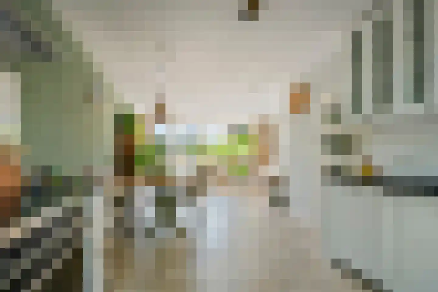 Prins Johan Frisostraat 16 Everdingen thumbnail 11
