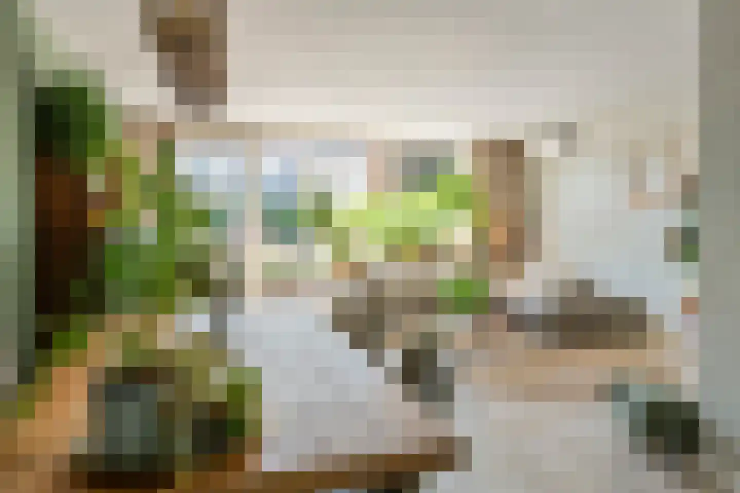 Prins Johan Frisostraat 16 Everdingen thumbnail 12