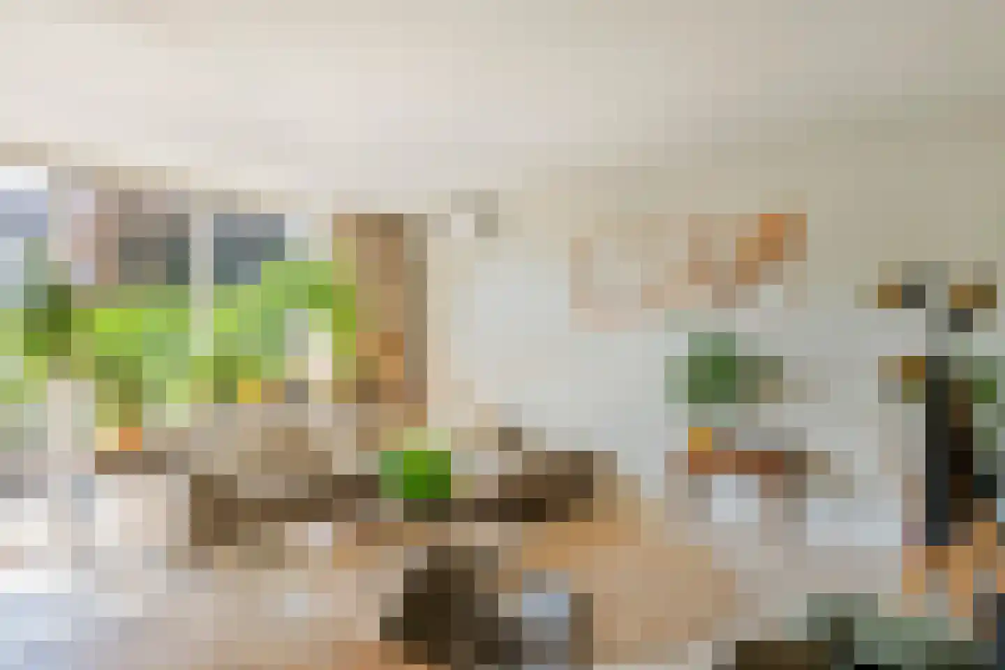 Prins Johan Frisostraat 16 Everdingen thumbnail 13
