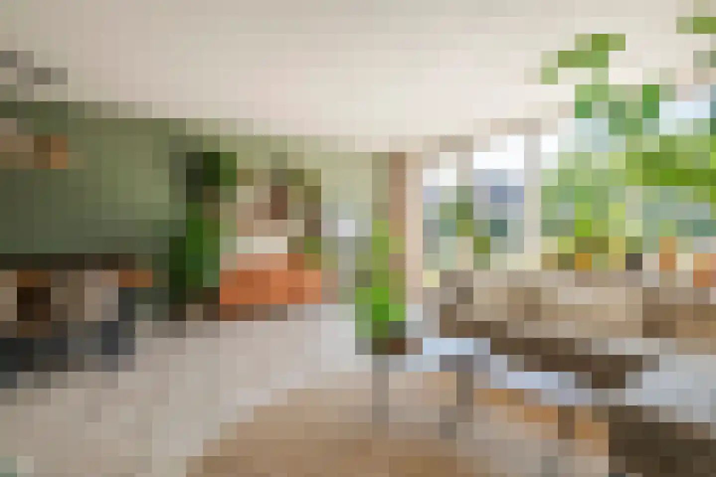 Prins Johan Frisostraat 16 Everdingen thumbnail 14