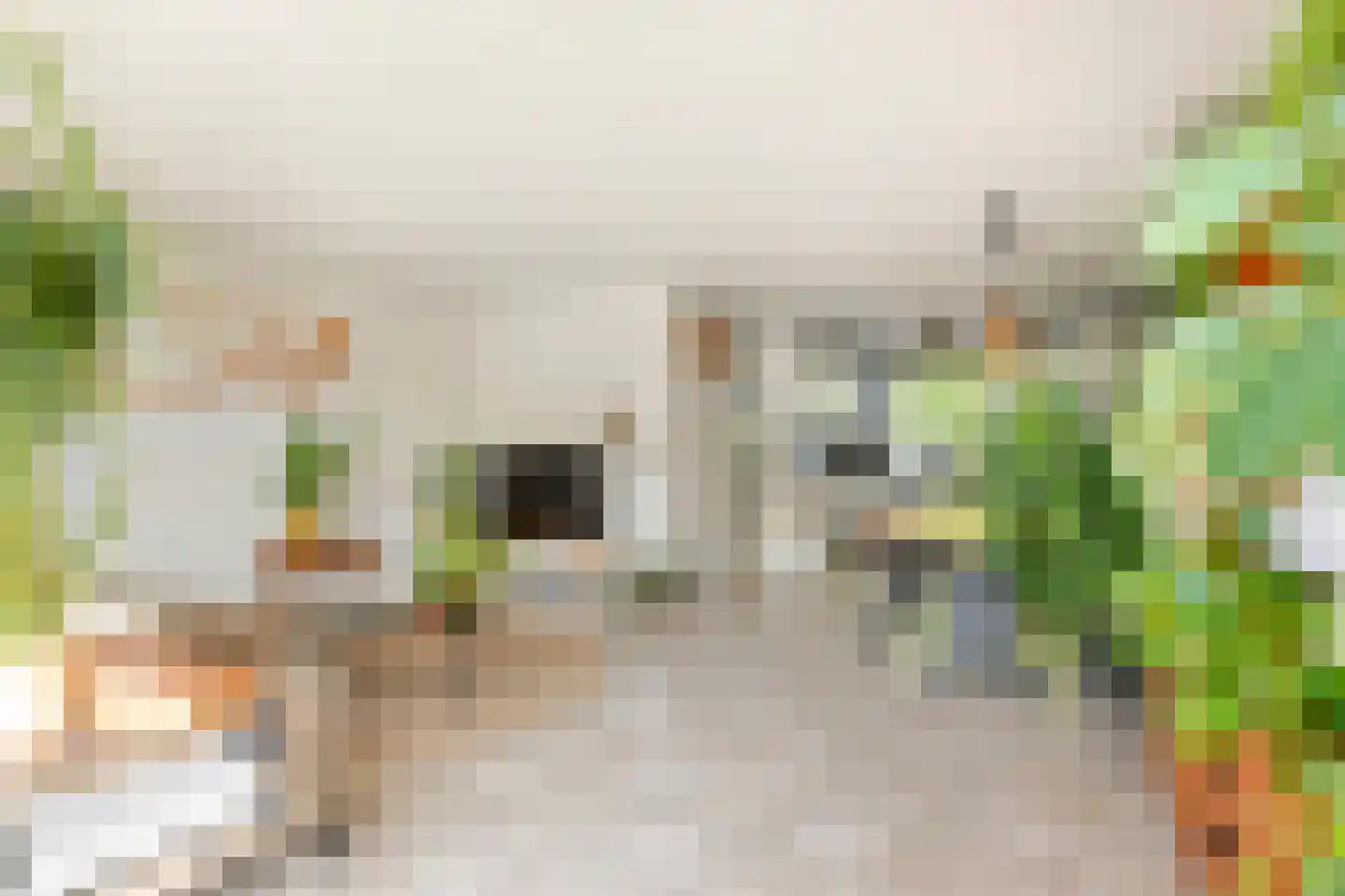 Prins Johan Frisostraat 16 Everdingen thumbnail 15