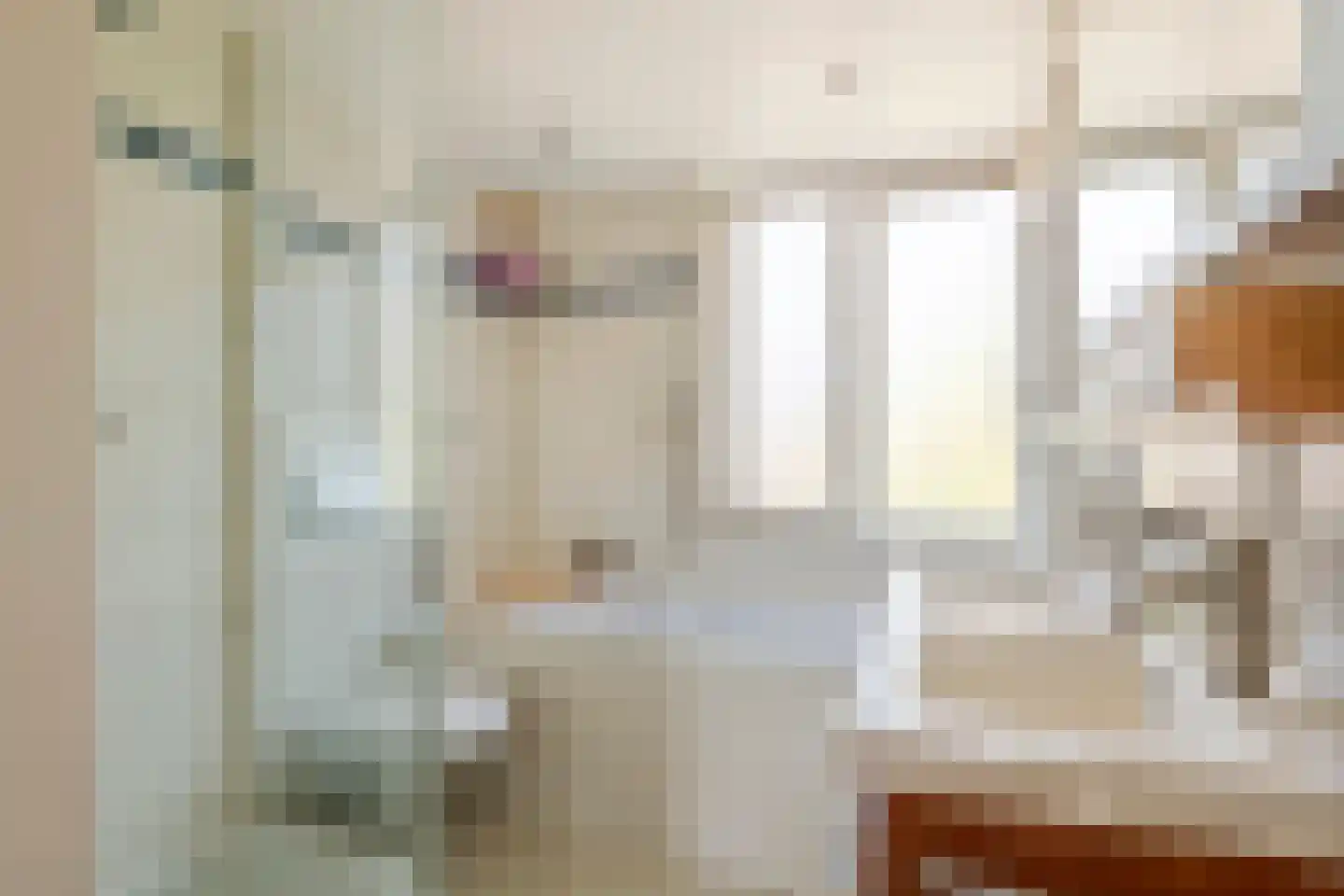Prins Johan Frisostraat 16 Everdingen thumbnail 24