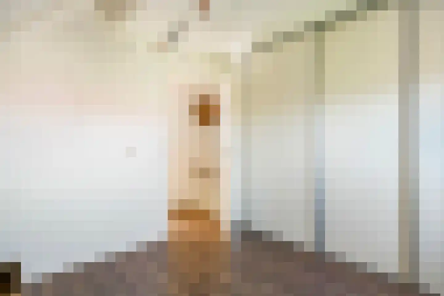 Prins Johan Frisostraat 16 Everdingen thumbnail 31