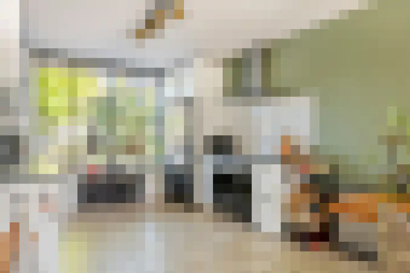 Prins Johan Frisostraat 16 Everdingen thumbnail 9