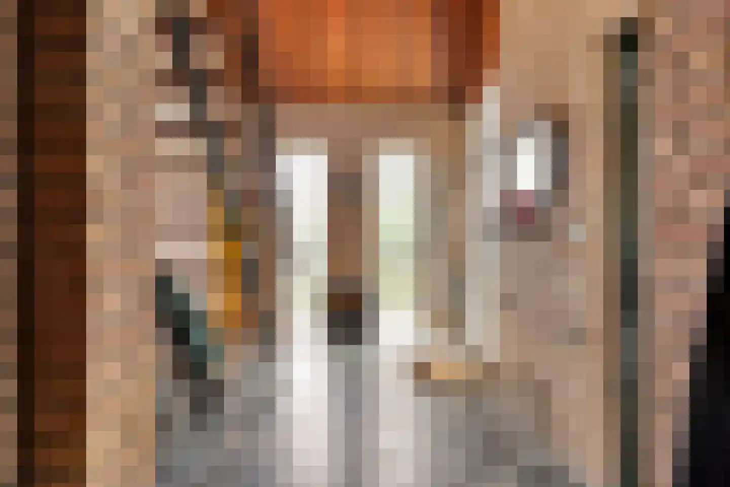 Prins Johan Frisostraat 2 Waarder thumbnail 17