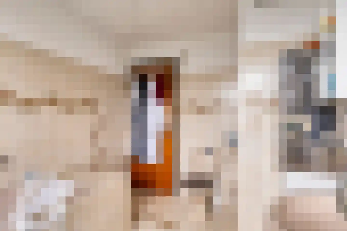 Prins Johan Frisostraat 2 Waarder thumbnail 29