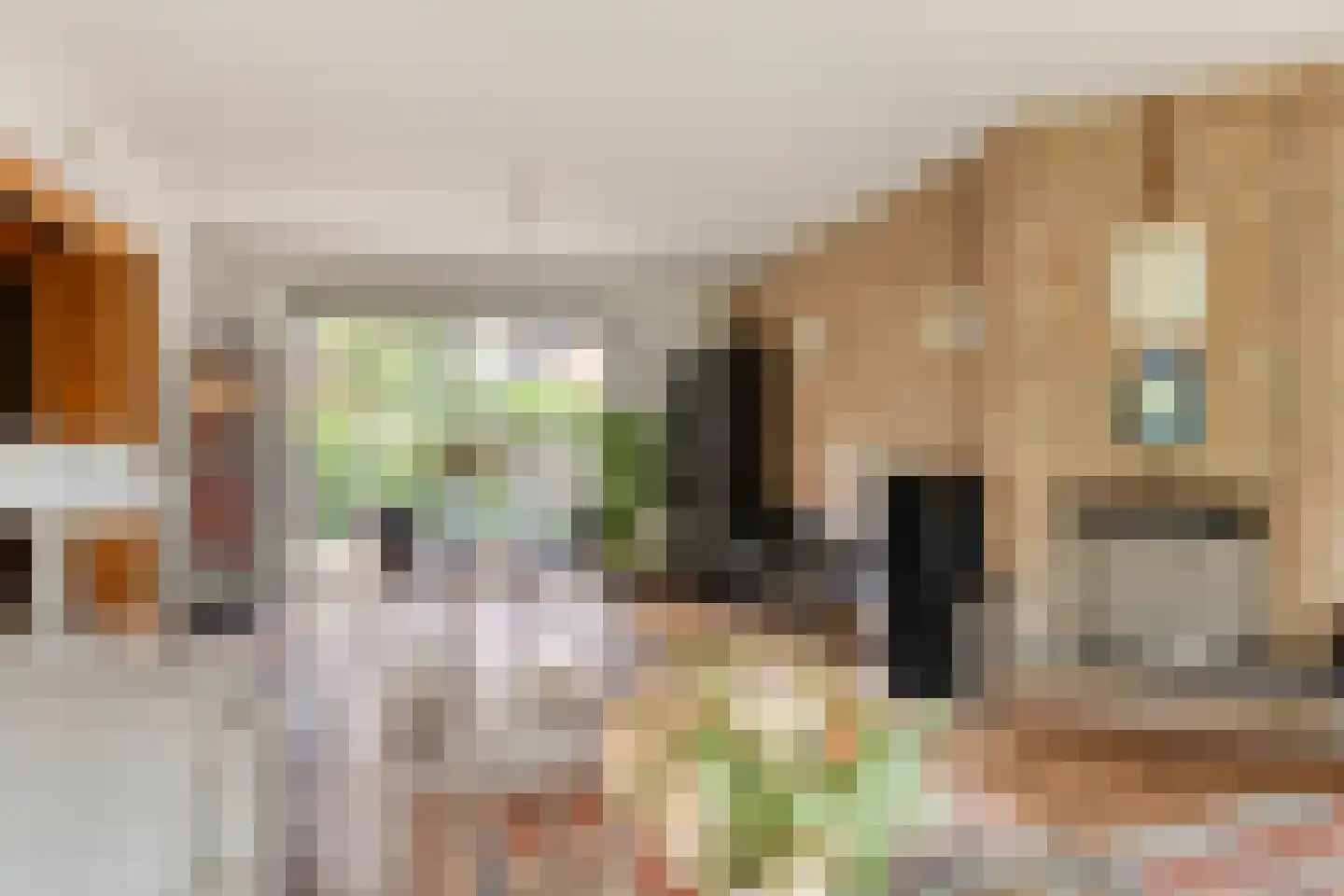 Prins Johan Frisostraat 2 Waarder thumbnail 6