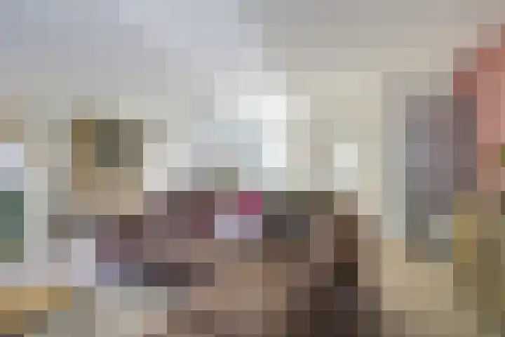 Prins Johan Frisostraat 6 Everdingen thumbnail 10