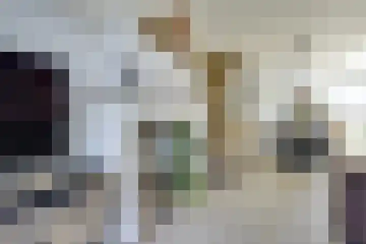 Prins Johan Frisostraat 6 Everdingen thumbnail 12