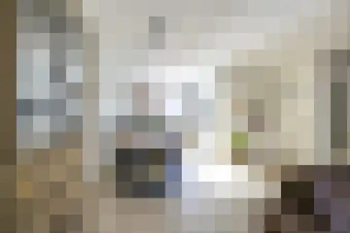 Prins Johan Frisostraat 6 Everdingen thumbnail 14