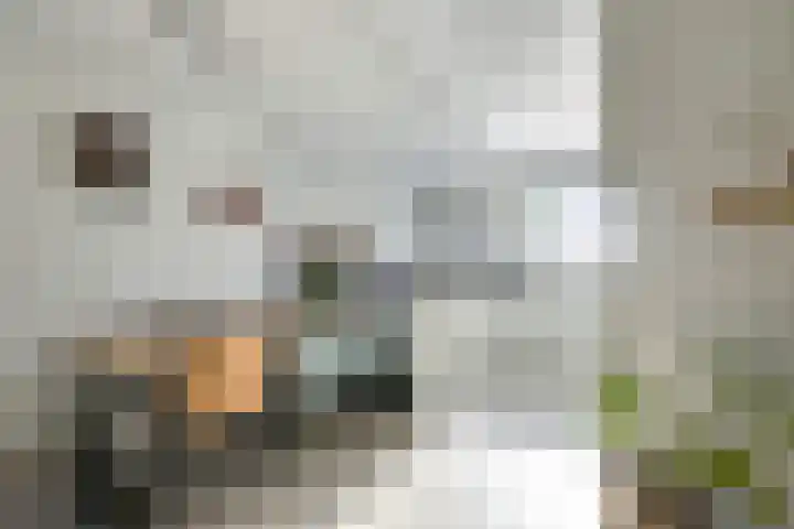 Prins Johan Frisostraat 6 Everdingen thumbnail 16