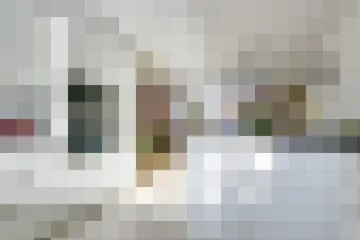 Prins Johan Frisostraat 6 Everdingen thumbnail 19