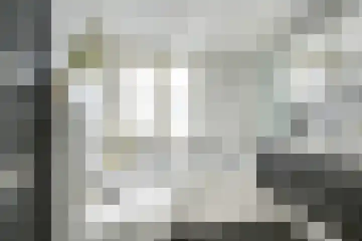 Prins Johan Frisostraat 6 Everdingen thumbnail 29
