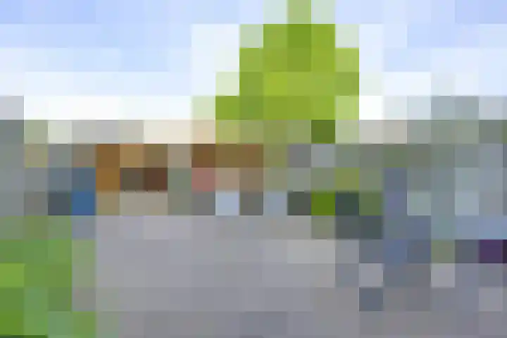 Prins Johan Frisostraat 6 Everdingen thumbnail 4