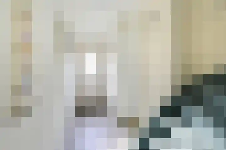 Prins Johan Frisostraat 6 Everdingen thumbnail 5