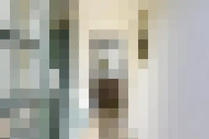 Prins Johan Frisostraat 6 Everdingen thumbnail 6