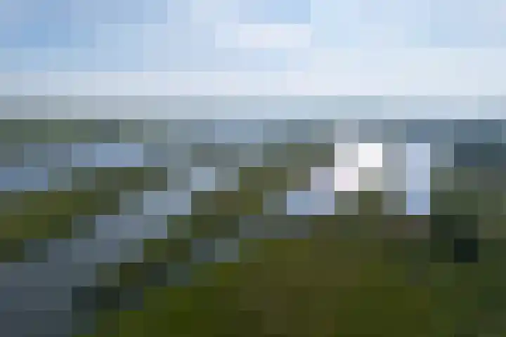 Prins Johan Frisostraat 6 Everdingen thumbnail 69