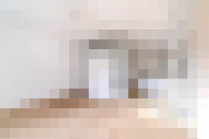 Prins Johan Willem Frisolaan 21 Leidschendam thumbnail 20