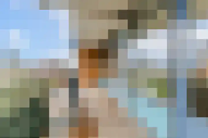 Prins Johan Willem Frisolaan 407 Leidschendam thumbnail 13