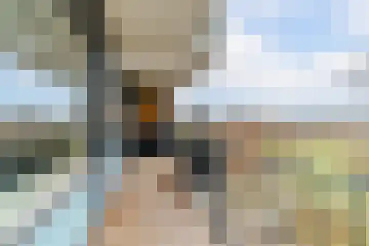 Prins Johan Willem Frisolaan 407 Leidschendam thumbnail 14