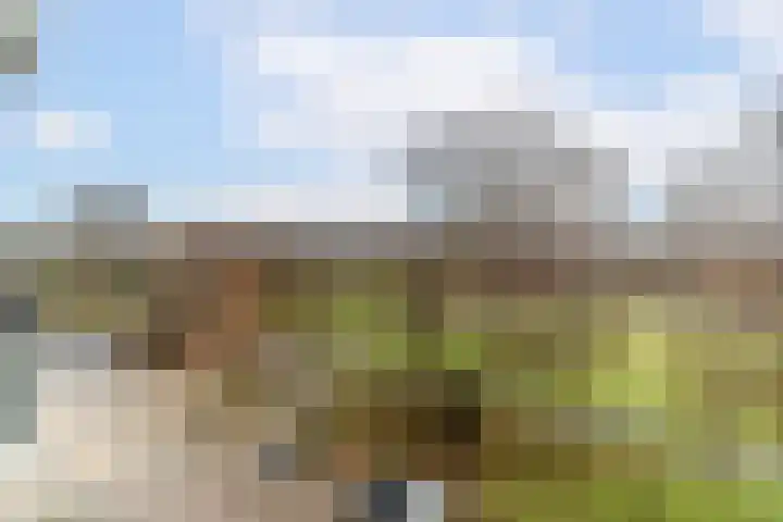 Prins Johan Willem Frisolaan 407 Leidschendam thumbnail 15