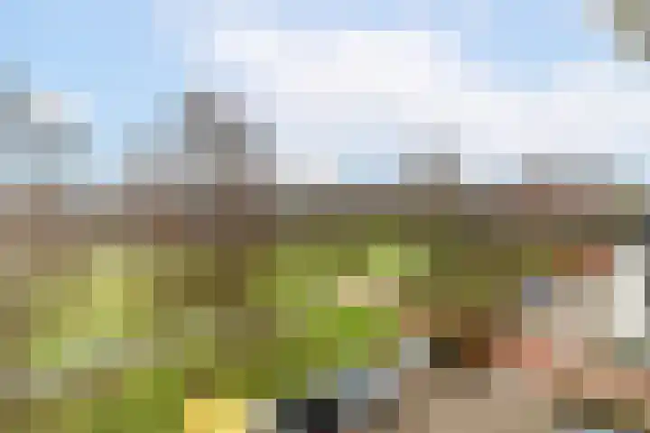 Prins Johan Willem Frisolaan 407 Leidschendam thumbnail 16