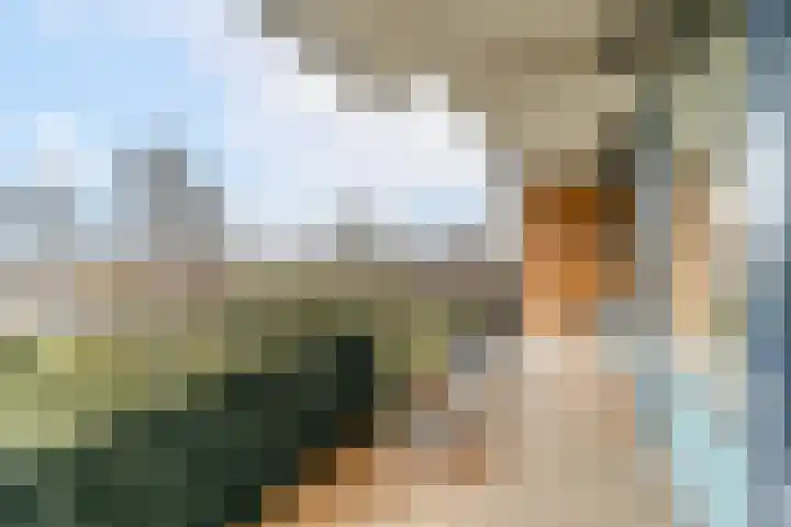 Prins Johan Willem Frisolaan 407 Leidschendam thumbnail 4