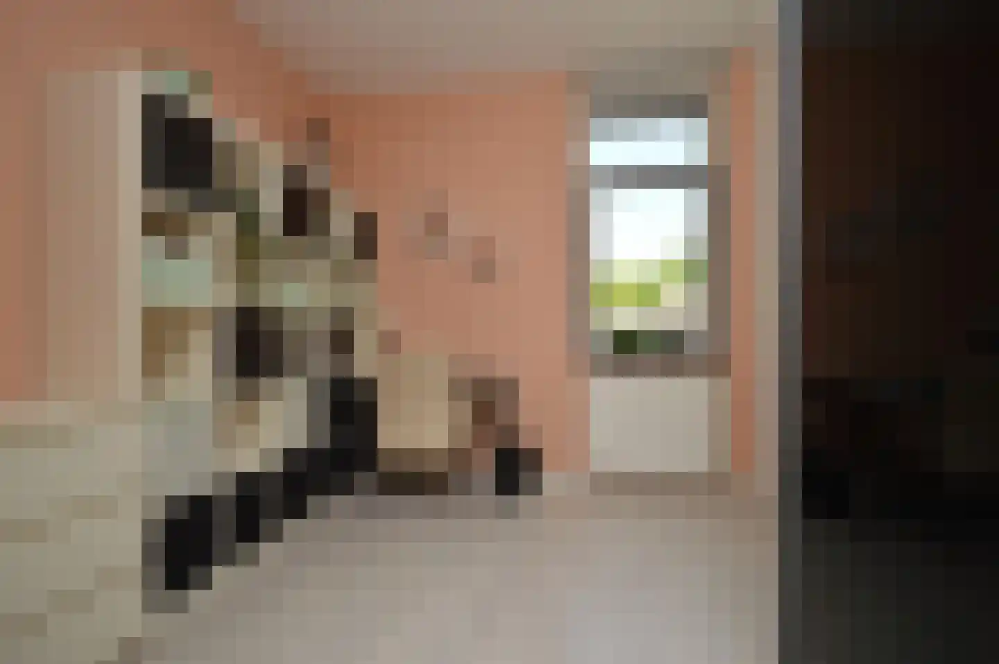 Prins Karelstraat 89 Helmond thumbnail 19