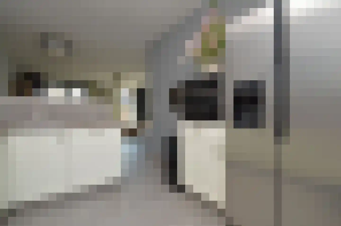 Prins Karelstraat 89 Helmond thumbnail 8