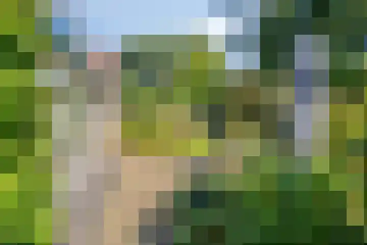 Prins Mauritshof 16 Terborg thumbnail 29
