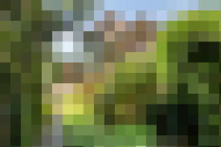 Prins Mauritshof 16 Terborg thumbnail 30