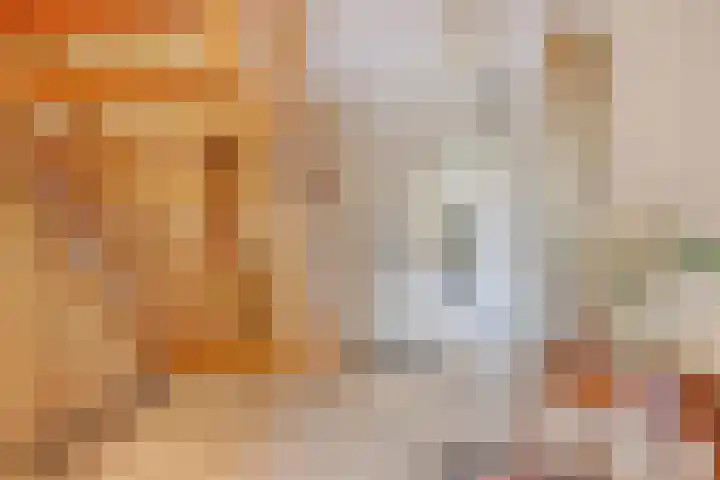 Prins Mauritshof 16 Terborg thumbnail 8