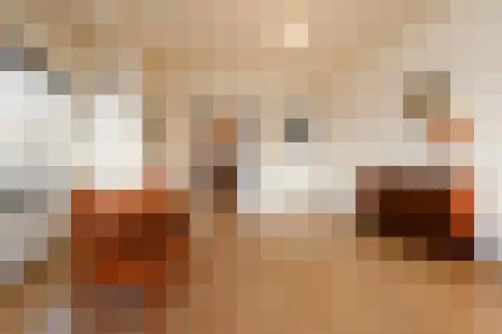 Prins Mauritslaan 1 E Den Haag thumbnail 19