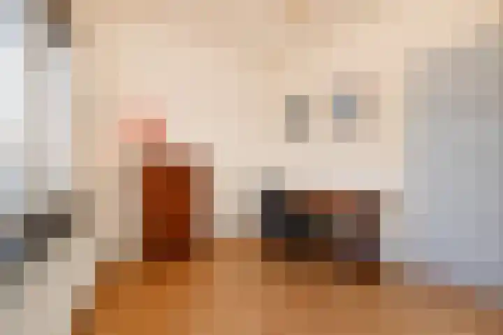 Prins Mauritslaan 1 E Den Haag thumbnail 21