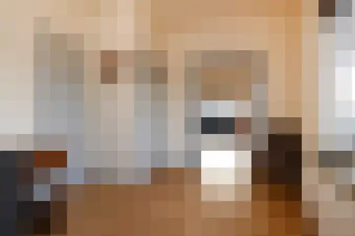Prins Mauritslaan 1 E Den Haag thumbnail 22