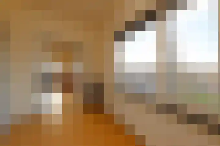 Prins Mauritslaan 1 E Den Haag thumbnail 23
