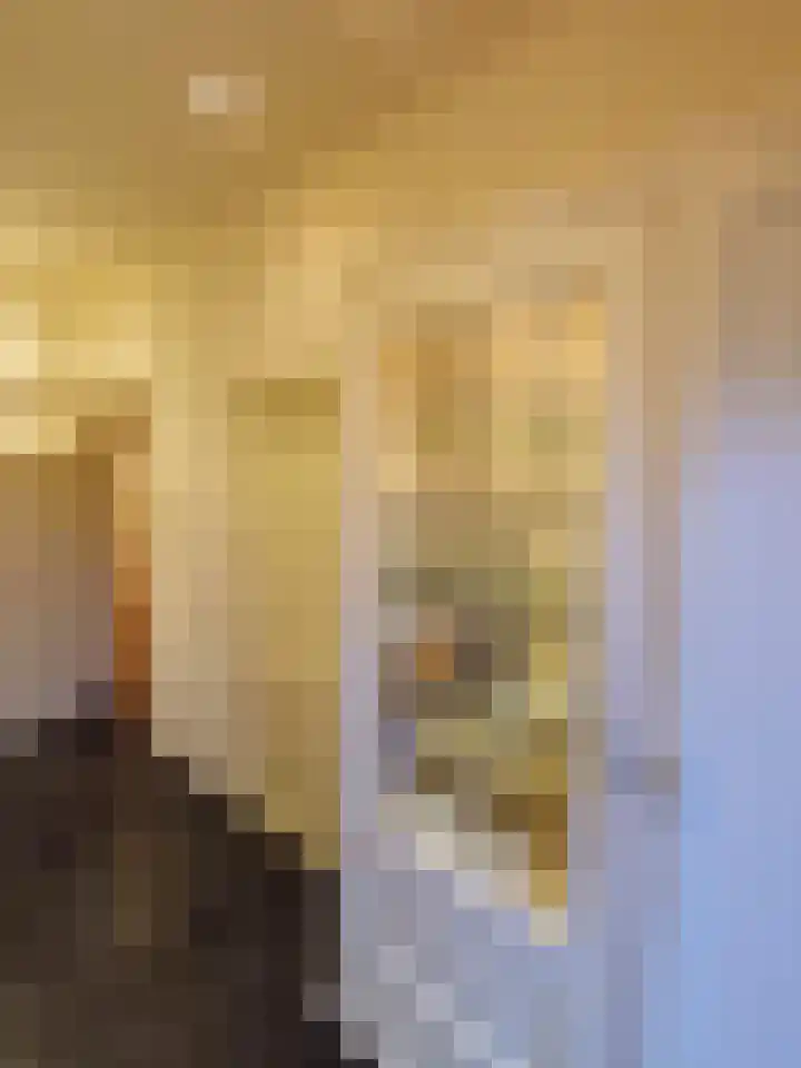 Prins Mauritslaan 1 E Den Haag thumbnail 31