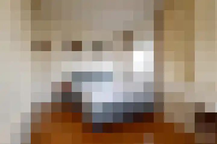 Prins Mauritslaan 1 E Den Haag thumbnail 4