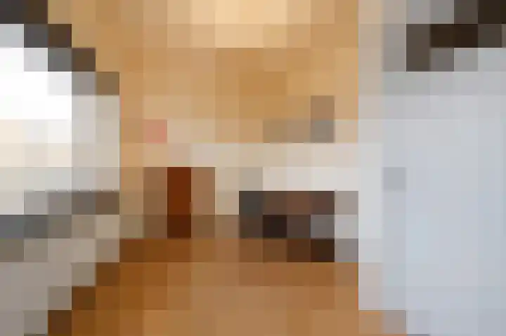 Prins Mauritslaan 1 E Den Haag thumbnail 5