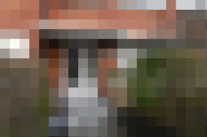 Prins Mauritslaan 1 E Den Haag thumbnail 7