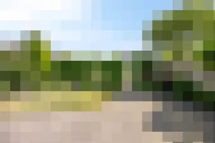 Prins Mauritslaan 10 Leusden thumbnail 20
