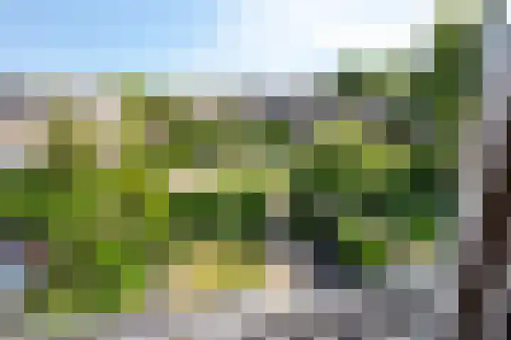 Prins Mauritslaan 10 Leusden thumbnail 34