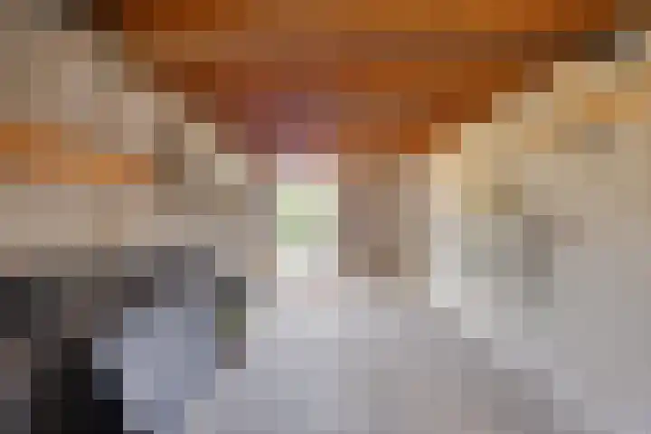 Prins Mauritslaan 10 Leusden thumbnail 37