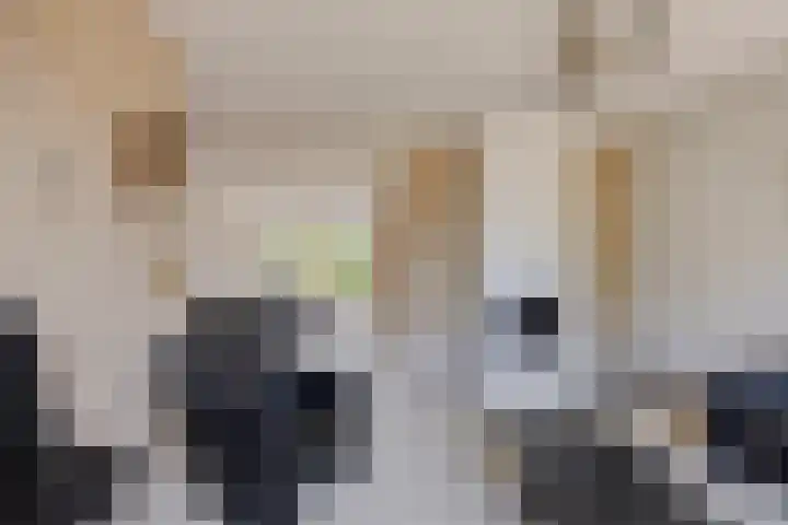 Prins Mauritslaan 10 Leusden thumbnail 8