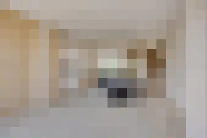 Prins Mauritslaan 10 Leusden thumbnail 9