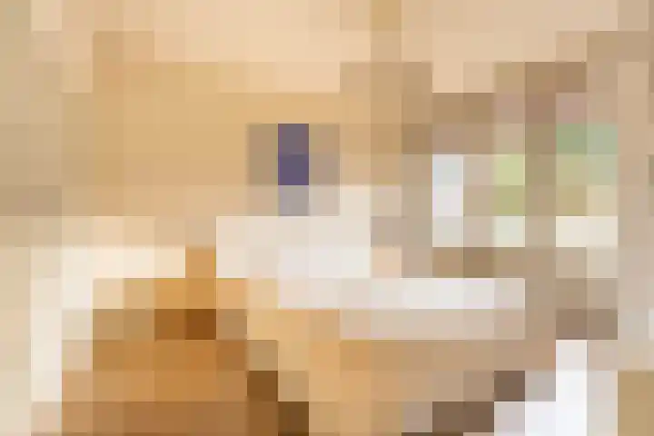 Prins Mauritslaan 100 Overveen thumbnail 13
