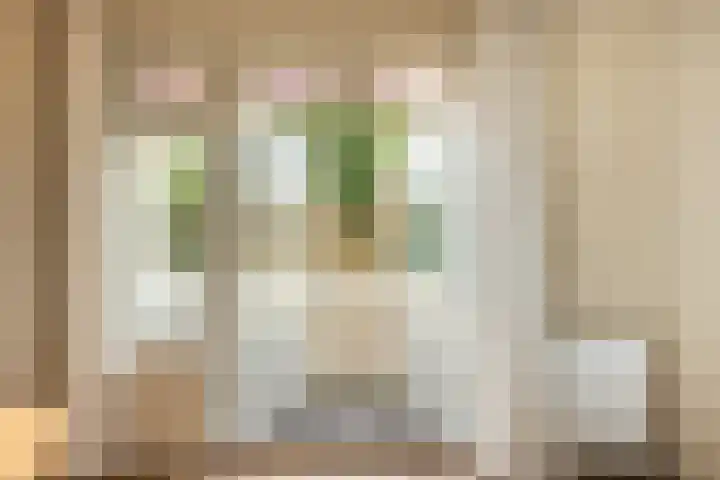 Prins Mauritslaan 100 Overveen thumbnail 14